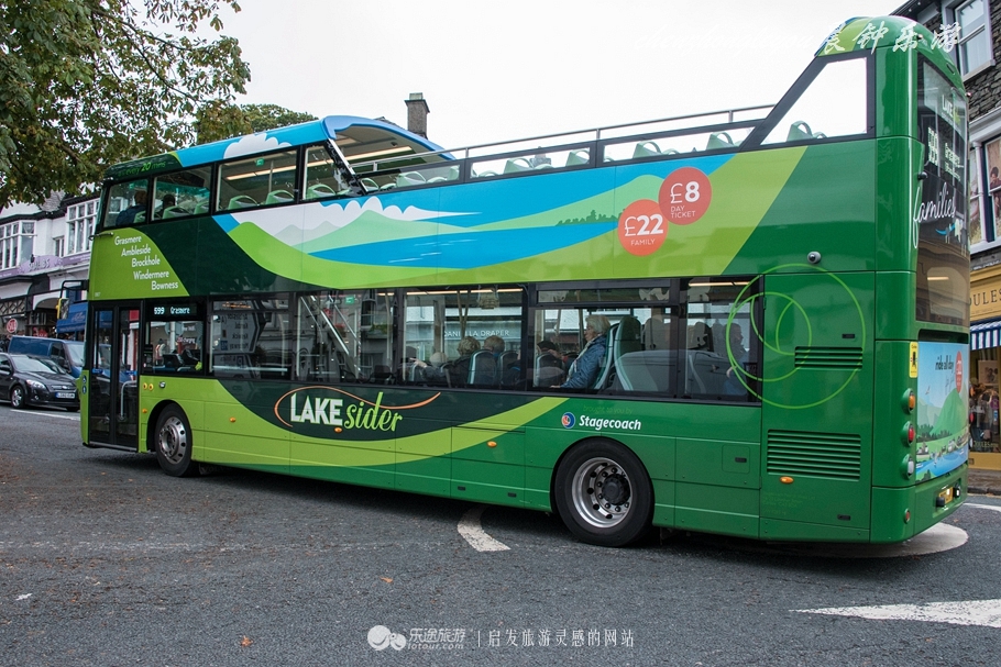 一只兔子原版抖音视频,一只低调奢华的兔子