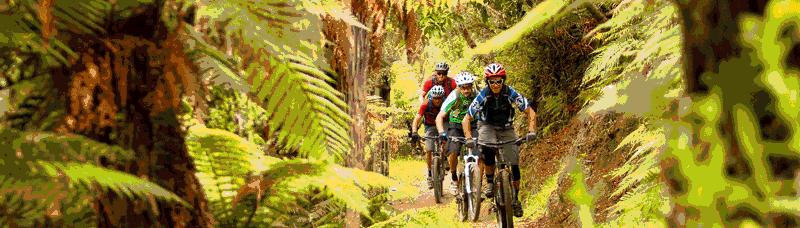 别让拖延症彻底毁掉你！三周后来奥克兰这个地方，为你治疗