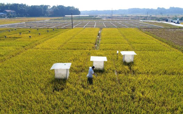 新媒关注北京今冬空气异常好:治理见效也多亏天帮忙