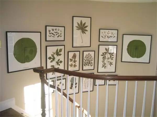 学做家庭植物微景观,做植物标本能学到什么