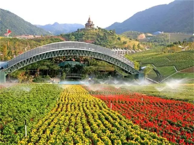 冬季深圳短途自驾一日游,深圳周边游玩好城市