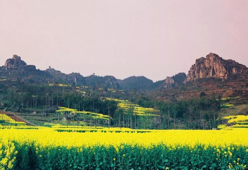 冬季深圳短途自驾一日游,深圳周边游玩好城市