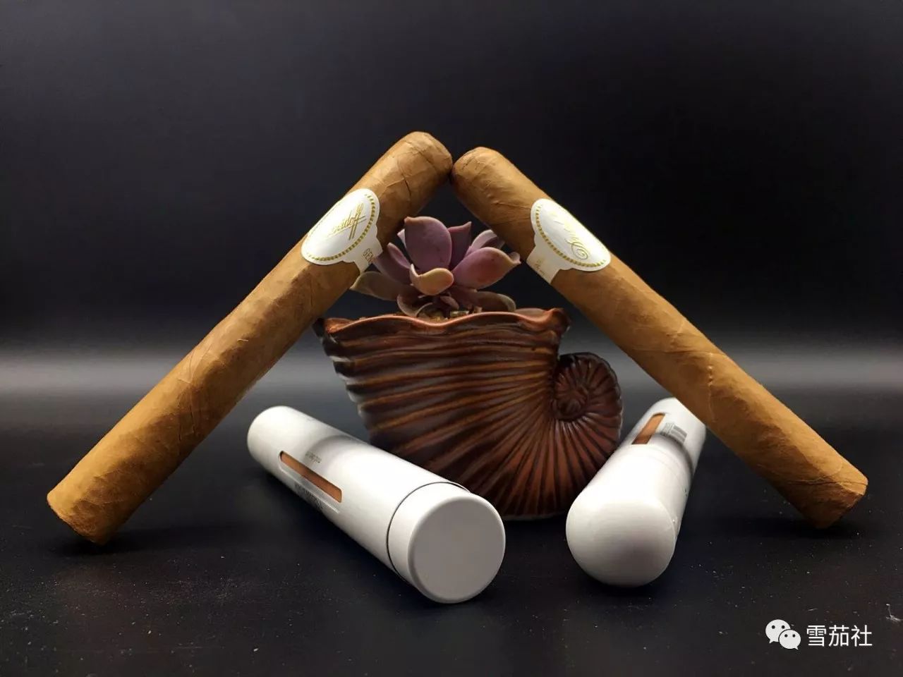 抽雪茄抽晕了怎么缓解,抽雪茄怎么防止过肺