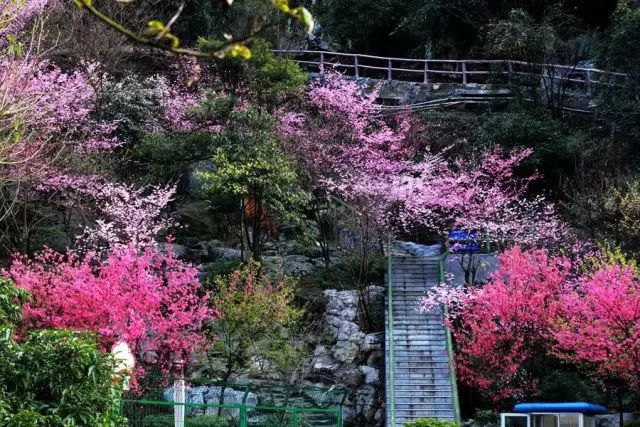 究竟湖南衡阳是几线城市,衡阳南是几线城市