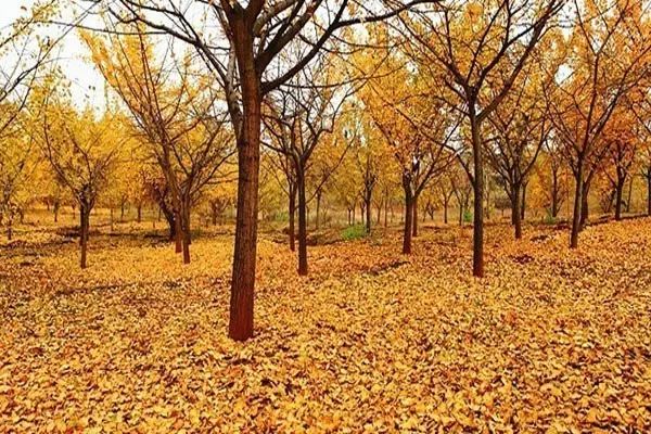 究竟湖南衡阳是几线城市,衡阳南是几线城市