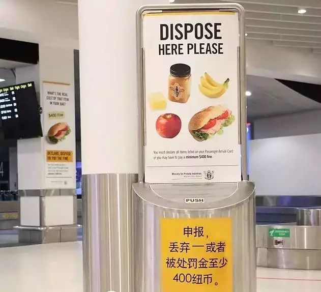 澳门赌王女儿入境新西兰居然被扣,她究竟带了什么?