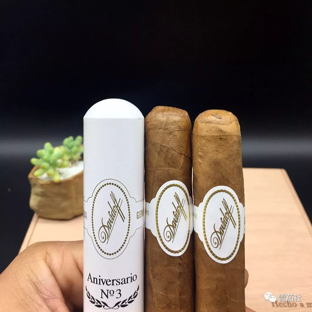 抽雪茄抽晕了怎么缓解,抽雪茄怎么防止过肺