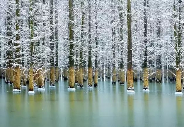 推荐｜2月，可以去这几个地方走走~
