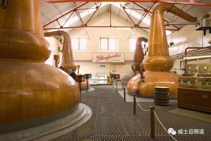 511.19英镑成就传奇,一个家族的辉煌与坚持