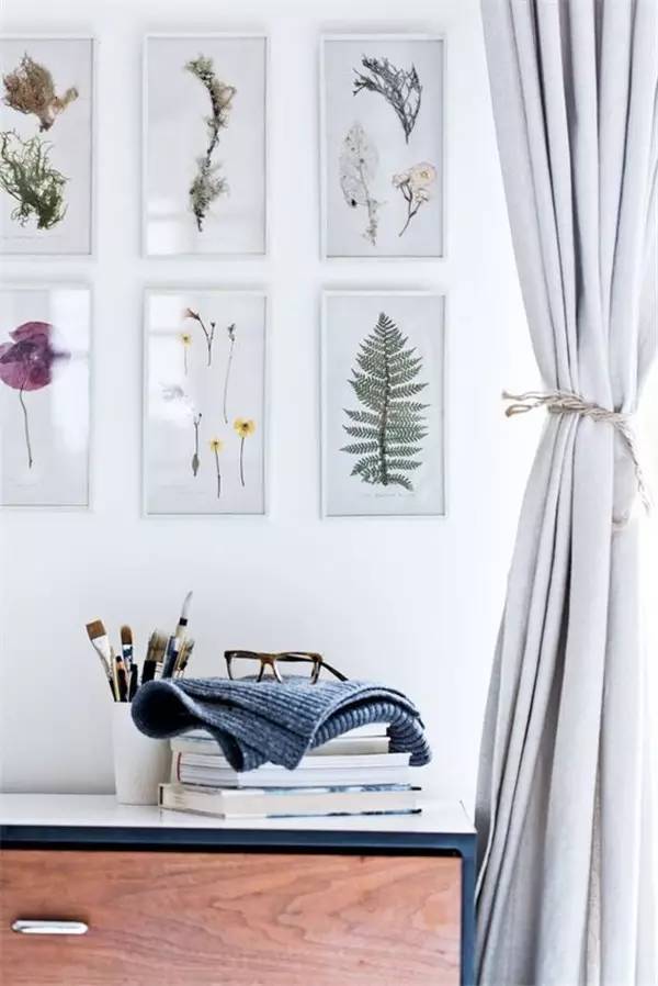 学做家庭植物微景观,做植物标本能学到什么