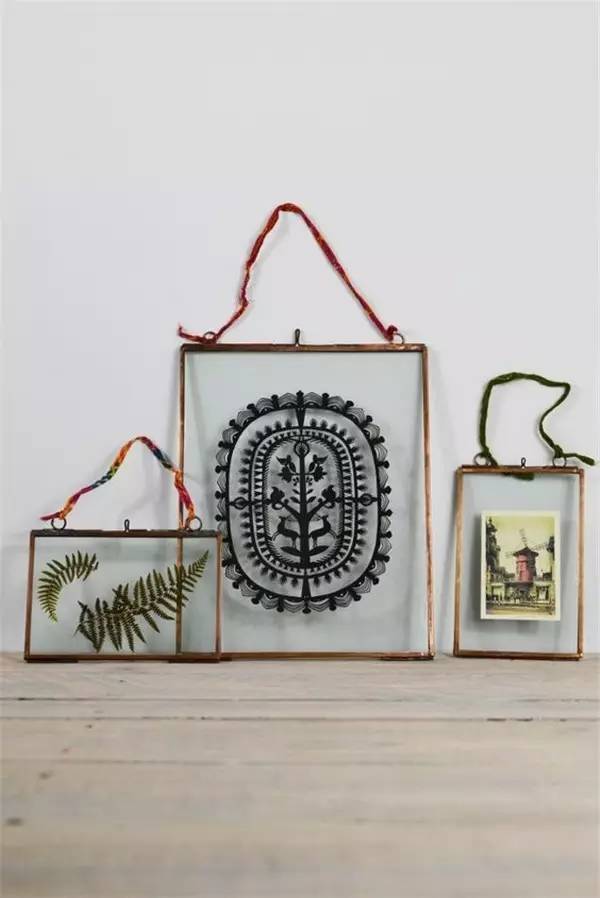 学做家庭植物微景观,做植物标本能学到什么