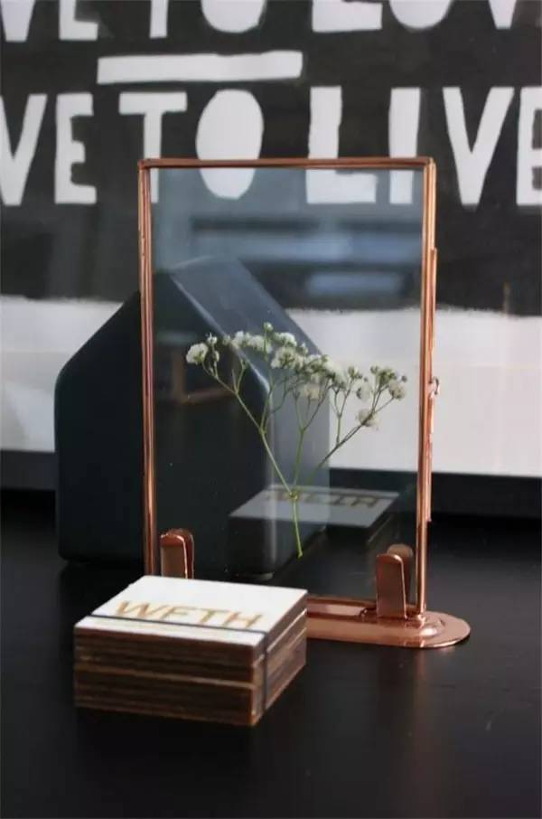 学做家庭植物微景观,做植物标本能学到什么