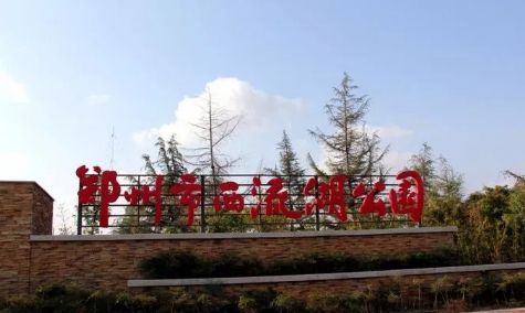 2019年郑州有什么大事,2020年郑州大事回顾