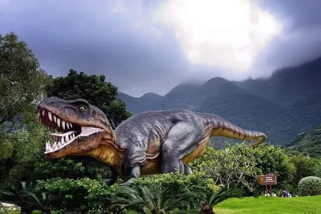 冬季深圳短途自驾一日游,深圳周边游玩好城市