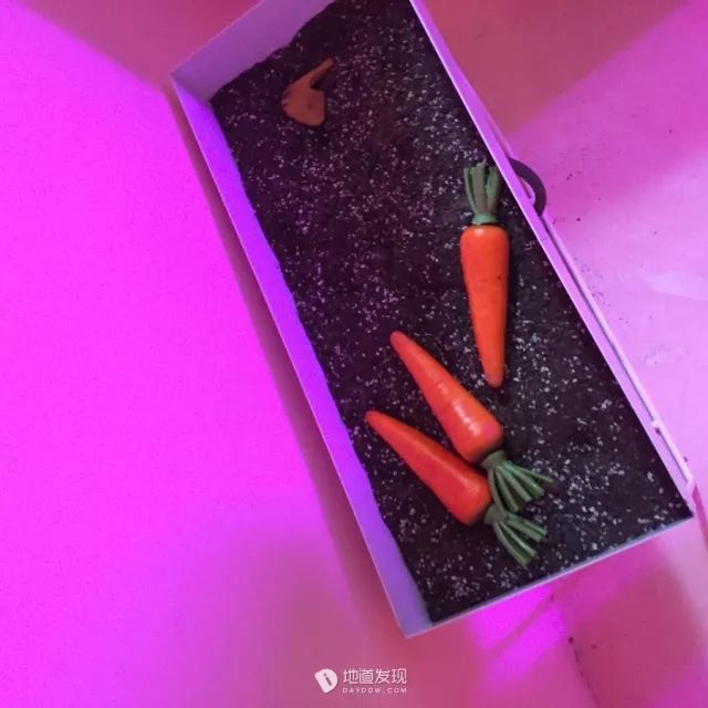 最近比较火的网红咖啡店广州 (广州最值得去的10家网红咖啡店)