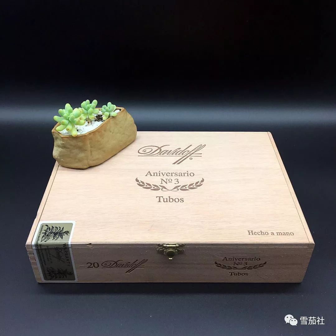 抽雪茄抽晕了怎么缓解,抽雪茄怎么防止过肺