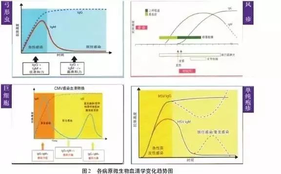 孕早期torch是不是必查,孕期32周dic筛查