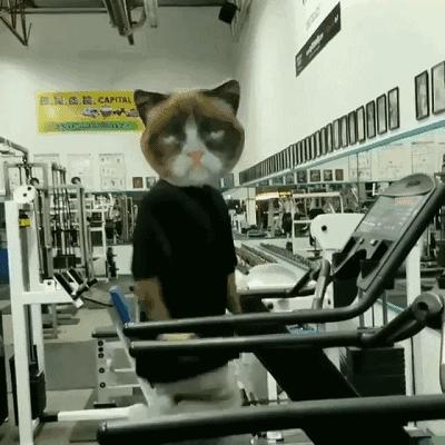 奇葩健身房搞笑,健身房那些奇葩搞笑的行为