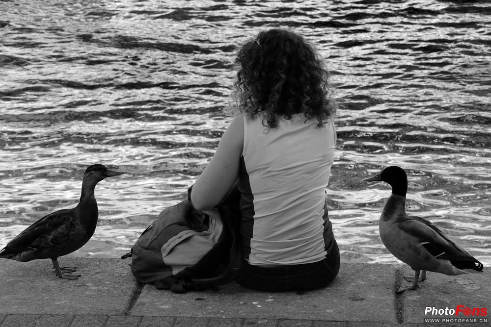 eos相机6d,微单相机eosm6ii