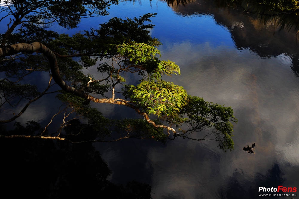 eos相机6d,微单相机eosm6ii