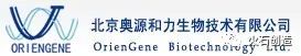基因行业公司排名,生物基因治疗龙头企业