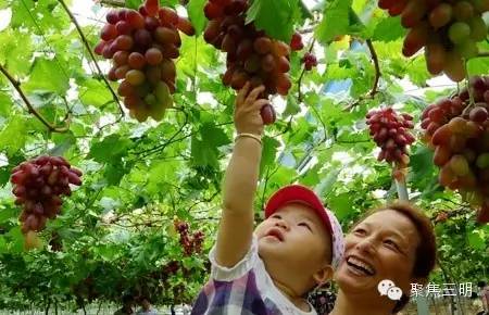 2018涓夋槑鏃呰鏃ュ巻,涓夋槑鏃呮父鏀荤暐鎬荤粨