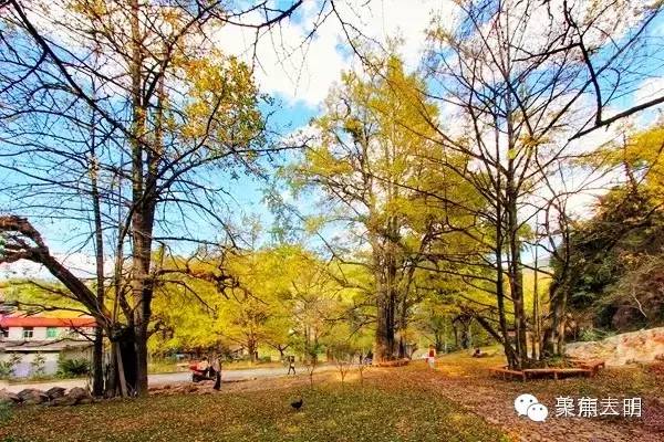 2018涓夋槑鏃呰鏃ュ巻,涓夋槑鏃呮父鏀荤暐鎬荤粨