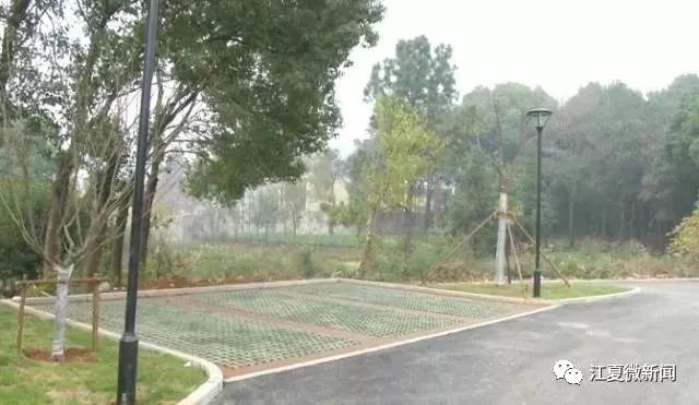 你好，我是江夏！这是我2017年的成绩单，请查收！