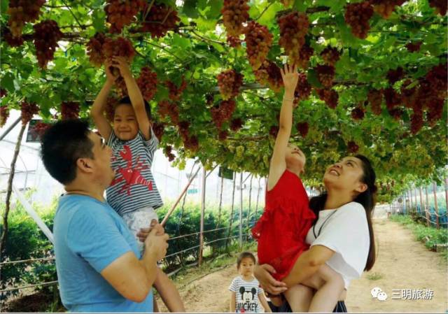 2018涓夋槑鏃呰鏃ュ巻,涓夋槑鏃呮父鏀荤暐鎬荤粨