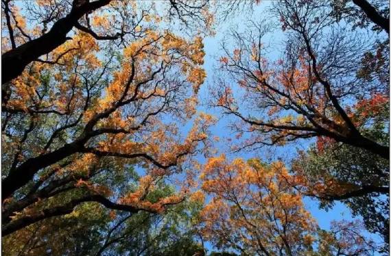 2018涓夋槑鏃呰鏃ュ巻,涓夋槑鏃呮父鏀荤暐鎬荤粨