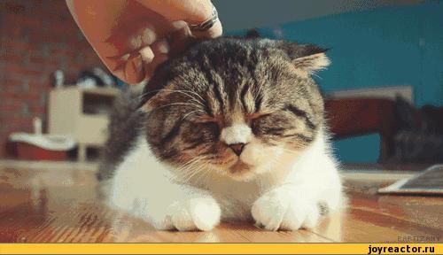 注意力不集中看的书,适合注意力不集中看的书