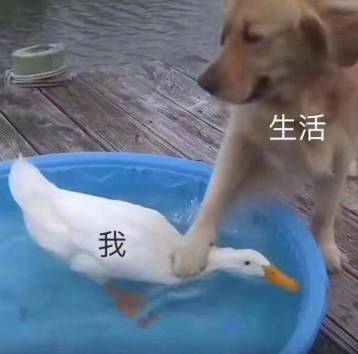 气温狂降至-10℃!青岛人盼的雪又要来了!还连下两天!