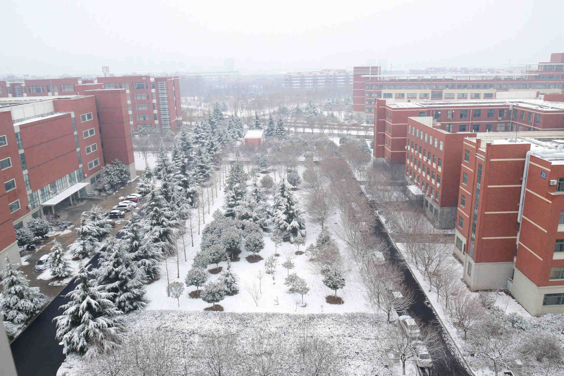 气温狂降至-10℃!青岛人盼的雪又要来了!还连下两天!