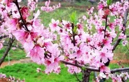 2018涓夋槑鏃呰鏃ュ巻,涓夋槑鏃呮父鏀荤暐鎬荤粨