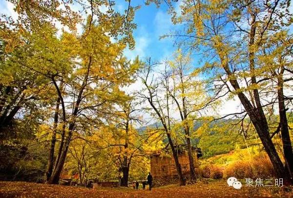 2018涓夋槑鏃呰鏃ュ巻,涓夋槑鏃呮父鏀荤暐鎬荤粨