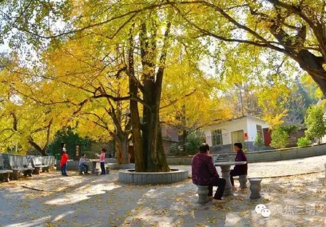 2018涓夋槑鏃呰鏃ュ巻,涓夋槑鏃呮父鏀荤暐鎬荤粨