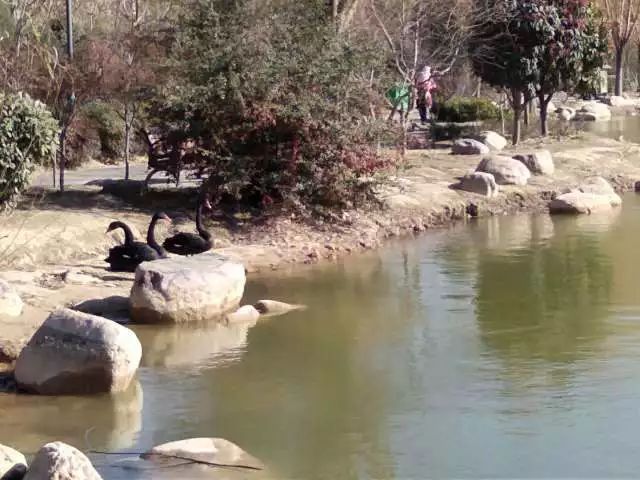 农大校景图片,农大开学通知