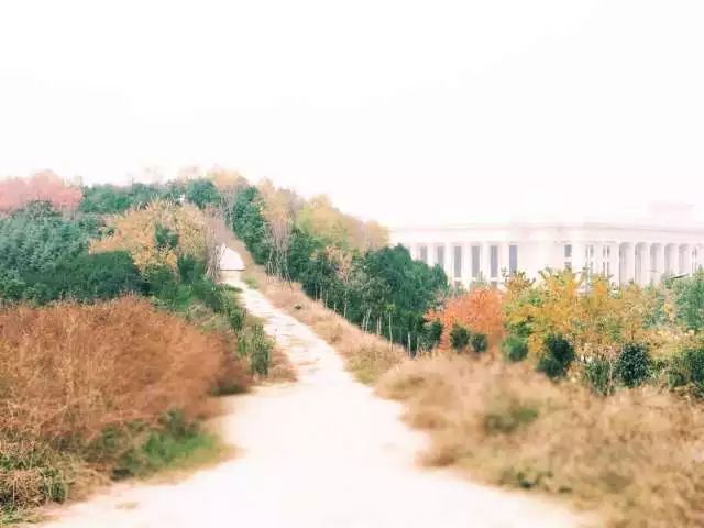 农大校景图片,农大开学通知