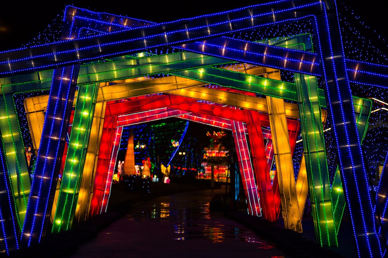 成都灯会七彩田野,灯会大型发光花灯