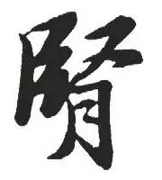 黄帝内经肾乃先天之本百病之源,黄帝内经先天之本