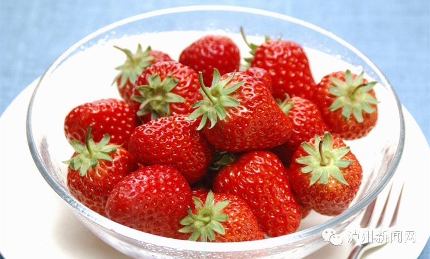 泸州哪些地方可以摘草莓,贵阳摘草莓摘桑葚摘樱桃地方