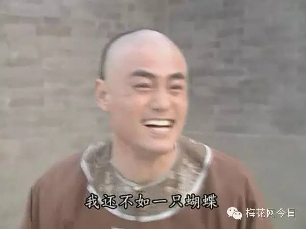 尔康表情包绿幕,尔康表情包原片段