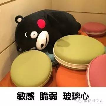 尔康表情包绿幕,尔康表情包原片段