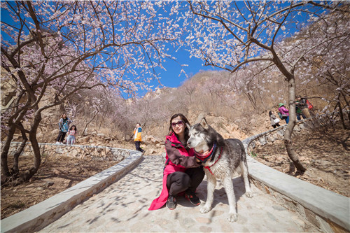 回顾欧帝亿和你相遇春の水长城