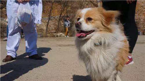 回顾欧帝亿和你相遇春の水长城