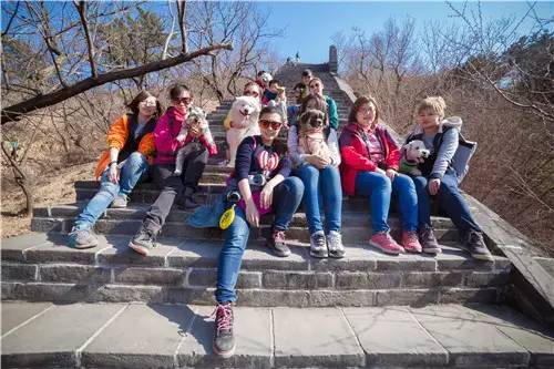 回顾欧帝亿和你相遇春の水长城