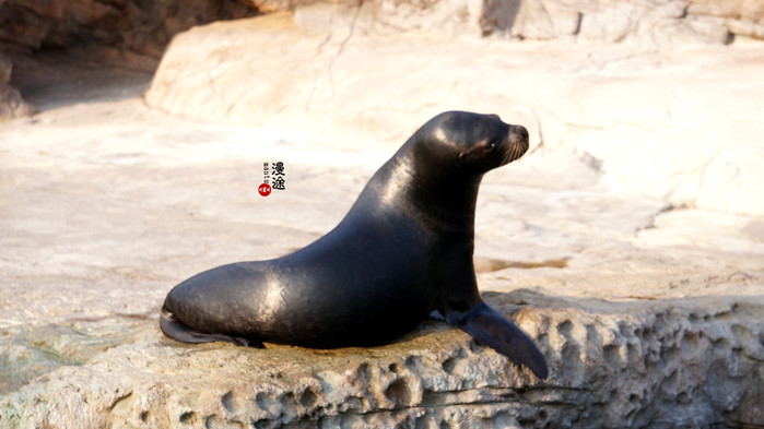 新年广州珠海长隆游记,广州珠海长隆澳门自由行攻略