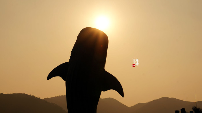 新年广州珠海长隆游记,广州珠海长隆澳门自由行攻略