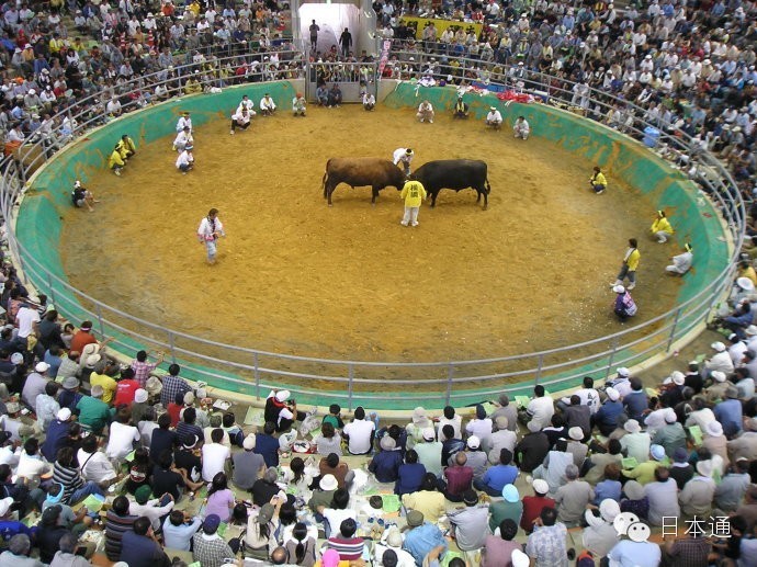 千万不要去的岛,去冲绳的7大理由看完立刻想出发