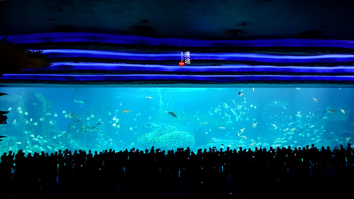 新年广州珠海长隆游记,广州珠海长隆澳门自由行攻略